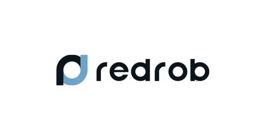 在线招聘平台Redrob融资400万美元，将AI技术融入企业人才招聘的各个环节